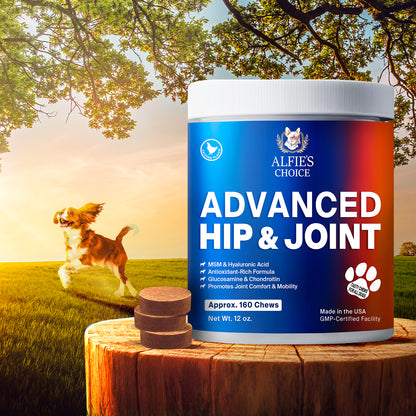 Hip and Joint Chews for Dogs - 12 oz