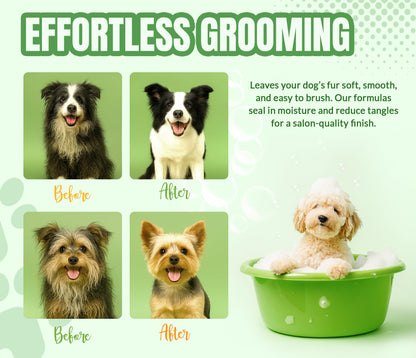 Fresh & Clean Dog Shampoo and Conditioner Set - 16 oz