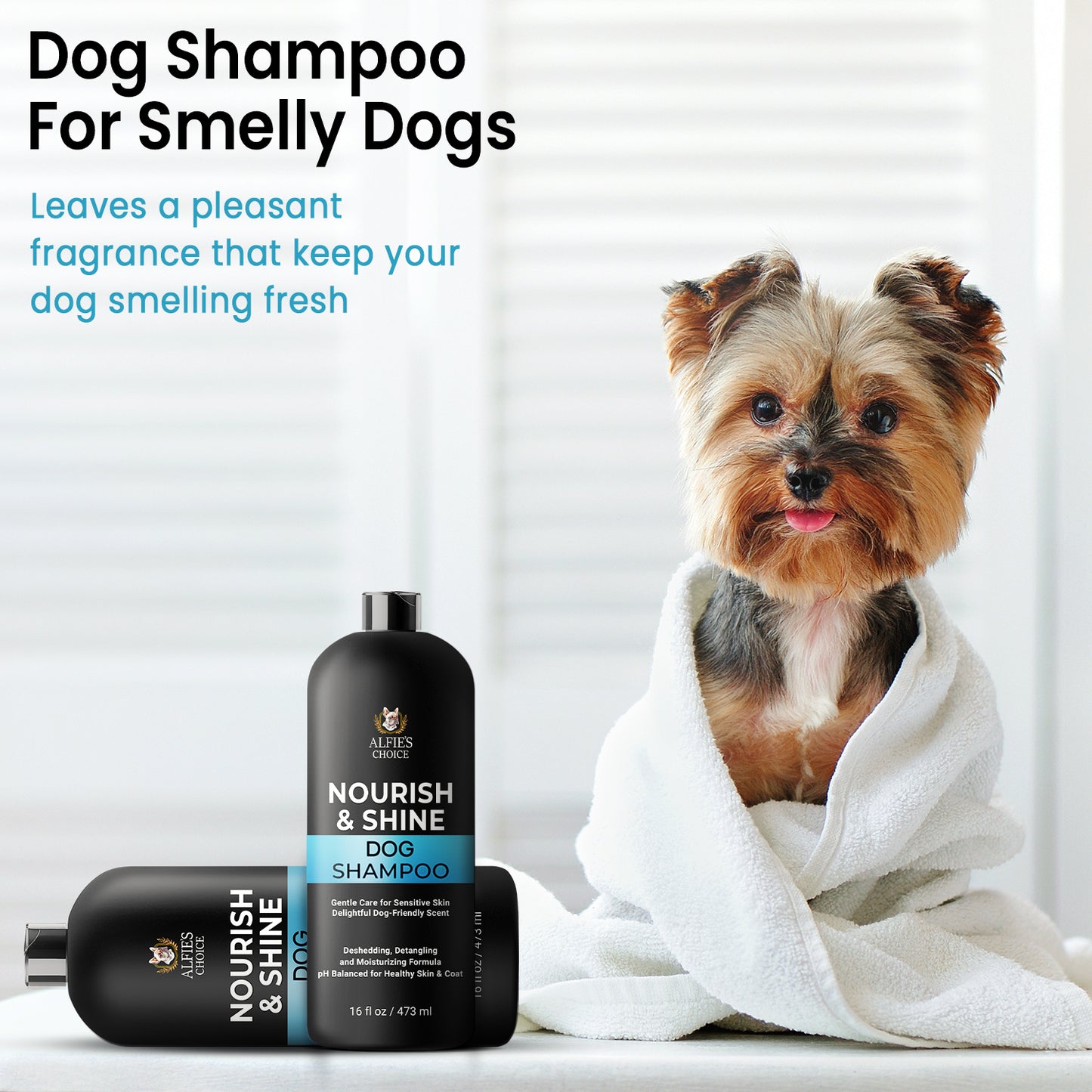 Yorkie Puppy Shampoo Best Leave In Conditioner For Yorkies Yorkie
