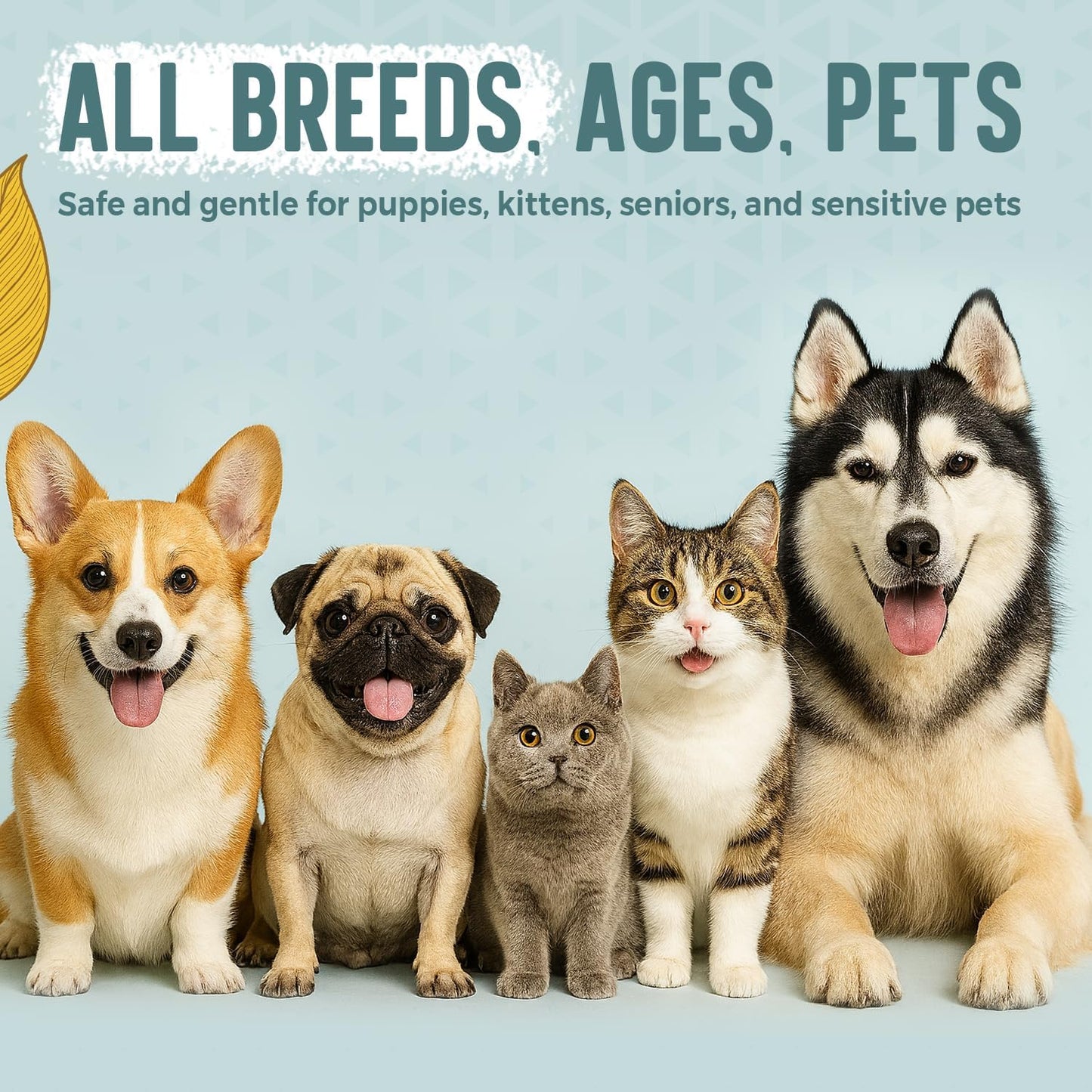 Pet Calming Aromatherapy  8 floz